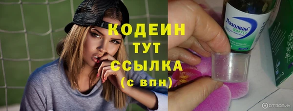 прущий лед Елизово