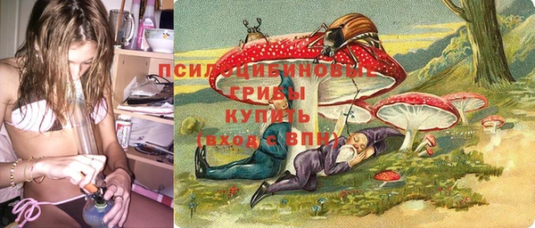 а пвп мука Ельня
