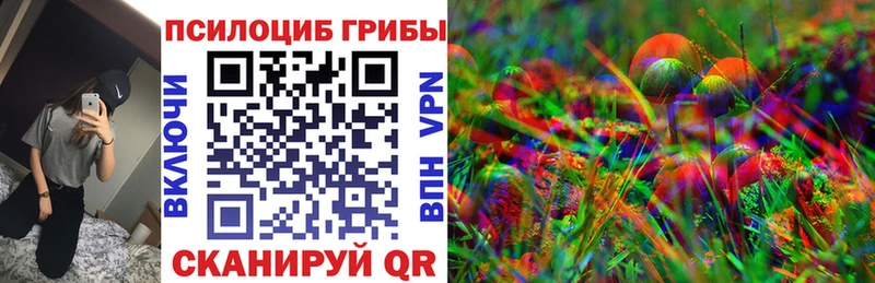Купить где  Большой Камень  Галлюциногенные грибы мухоморы 