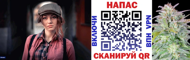 МАРИХУАНА ГИДРОПОН Купить закладки Большой Камень